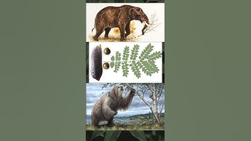 Kentucky Made From a Giant Sloth