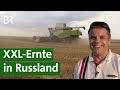 Ernten auf russischen Riesenfeldern | Unser Land | BR Fernsehen