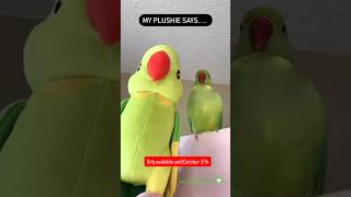 Did you hear about my Plushie? #birds #talkingparrot #shorts #pets