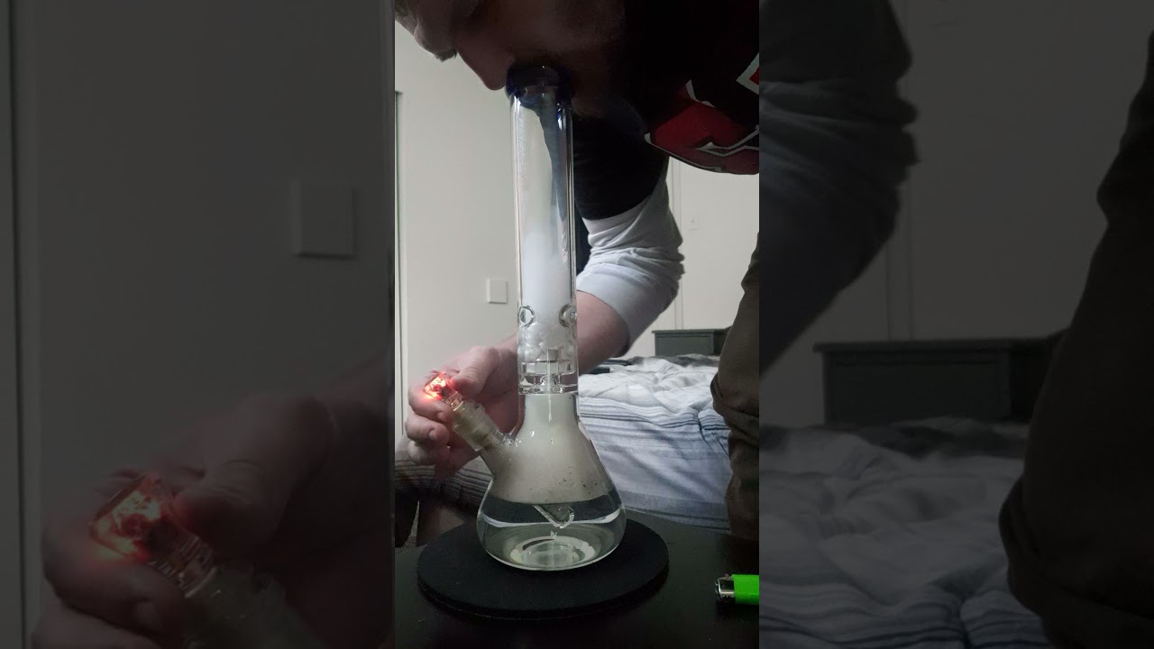 Green crack strain#,bong rip#,420#