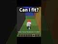 Can I fit? #minecraft #gaming #trending