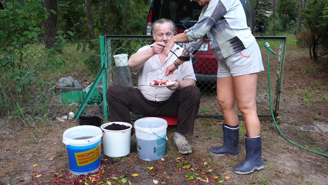 Wyciskanie soku z czeremchy na prasie do owoców