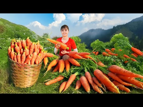 «Pinco Casino - Sizning online kazino o'ynishingiz mumkin!»