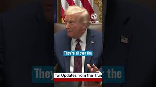 Download Lagu Trump Says Black Women in Chicago Are Only Begging for His Help MP3 Download Lagu Trump Says Black Women in Chicago Are Only Begging for His Help MP3