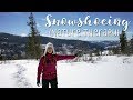 Snowshoeing Adventures (aka Nature Therapy!)