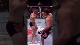 Ufc Ko Cro Cop Knocked Out