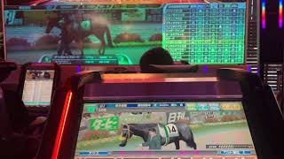 ダブルゴールド の競走馬情報 Pog Info