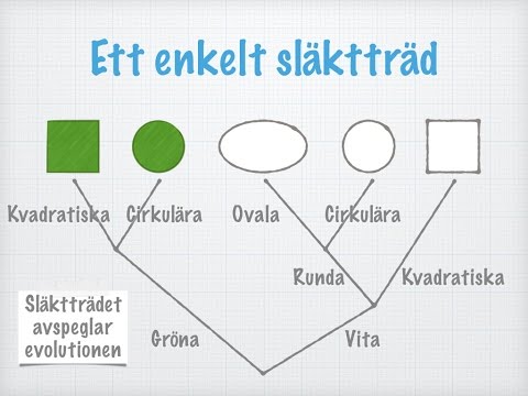 Video: Hur skriver man släktskap?