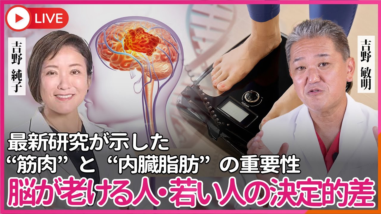 「脳が老ける人」と「若々しい人」の決定的な違い ― 最新研究が示した“筋肉”と“内臓脂肪”の重要性 ―