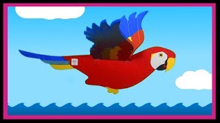 tim classic flying bird 8