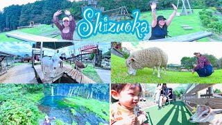 Shizuoka🇯🇵