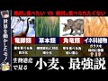 【矛×盾】小麦の奇妙な生存戦略と農業の始まり【ゆっくり解説】植物史よりの世界史？動物・植物の攻防の歴史でみる生物進化