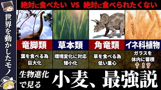 【矛×盾】小麦の奇妙な生存戦略と農業の始まり【ゆっくり解説】植物史よりの世界史？動物・植物の攻防の歴史でみる生物進化