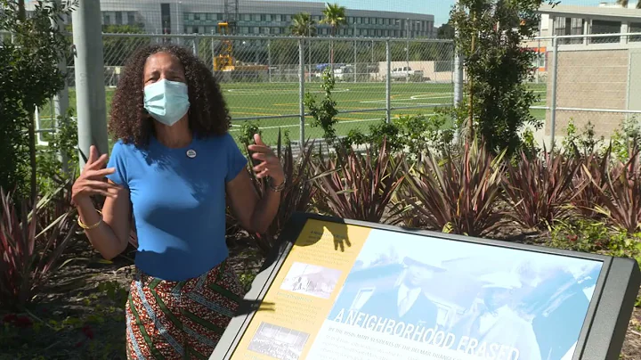 Historian Dr. Alison Rose Jefferson Speaks About t...