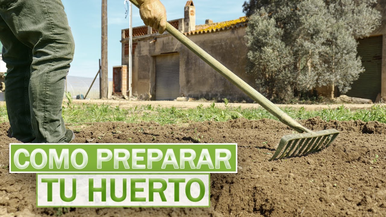 CÓMO PREPARAR TU HUERTO DESDE CERO