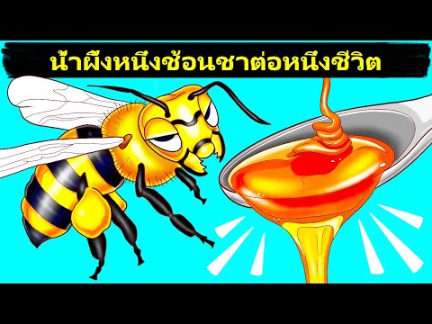 วีดีโอ: การหลั่งน้ำผึ้ง - อะไรทำให้เกิดน้ำหวานที่เหนียวบนพื้นผิวและพืช