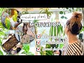 New month new mindset  planty reset  finding motivation 