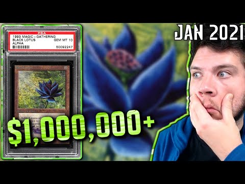 black lotus pokemon card value Magic: The Gathering sells for $511,100 at auction Rare Adds 3 mana of any single color of your choice to your mana pool PSA 10 Alpha Black Lotus