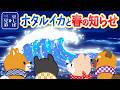 【奇跡】突然海が光る魔法…！？福井県で見つけた「春の知らせ」に感動🌸【福井県】