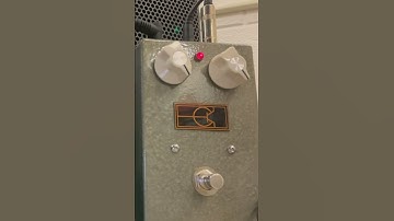 Collector Effectors Moon Wolf octave fuzz pedal and Fuzzdoden fuzz pedal with Agile guitar