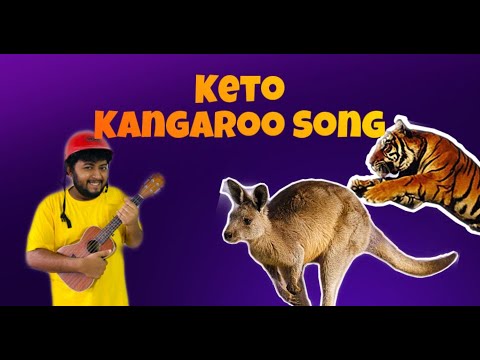 Keto Kangaroo Song  Keto Bhai