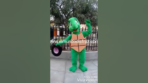 Turtle costume mascot
