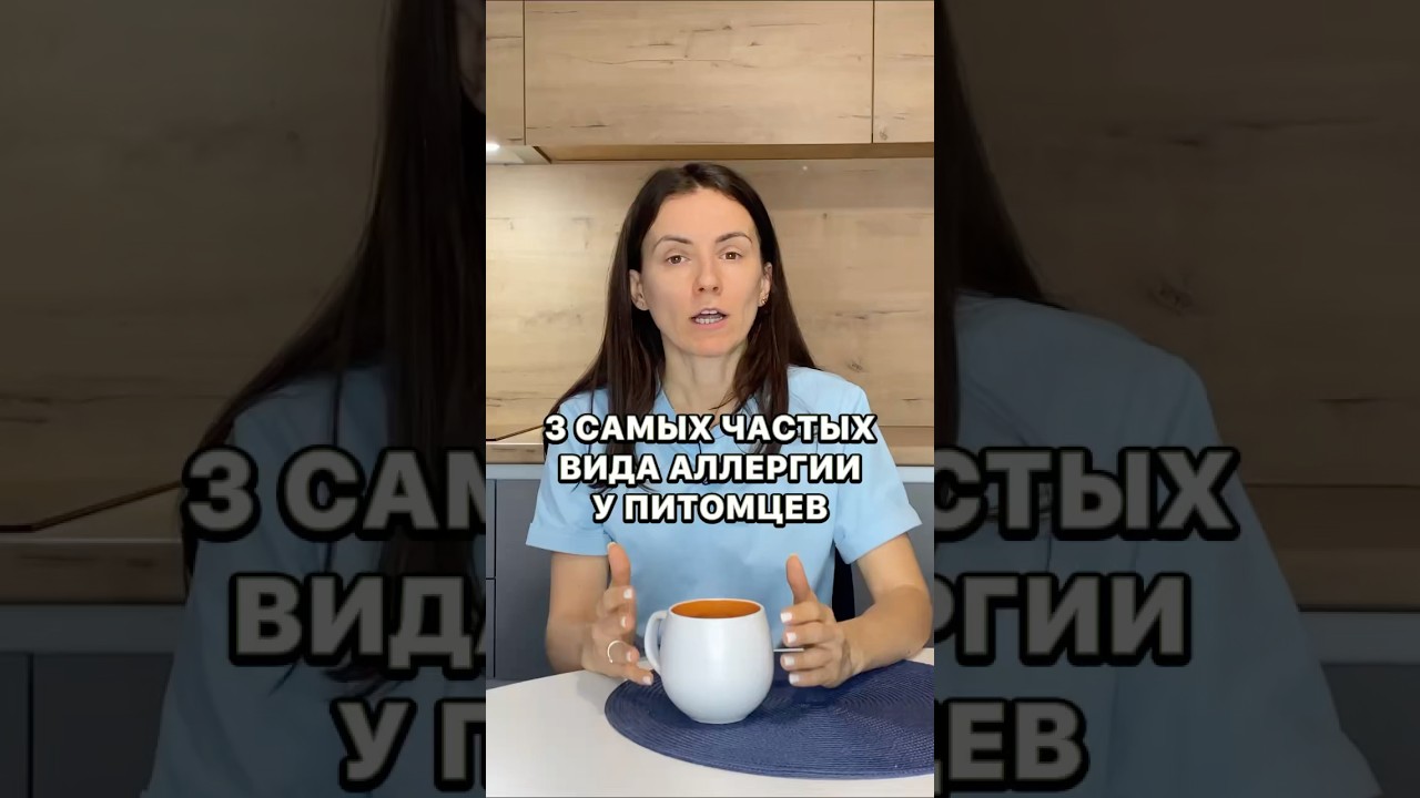 Вот три самых частых вида аллергии у собак и кошек. #ветеринар #животные #собака #кошка