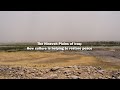 The Nineveh Plains of Iraq: How culture is helping to restore peace