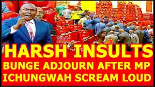 🔥🔥"WACHENI UJINGA, TUMIENI AKILI WAJINGA NYINYI" KIBURI CHA ICHUNGWA AFTER HE IS SHOUTED DOWN BUNGE