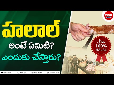 What Exactly Is Halal meat ? హలాల్ అంటే ఏమిటి? ఎందుకు చేస్తారు? Explained in Telugu | Vigil Media