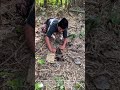Man Rescues Baby Owl From Hole in the Ground!