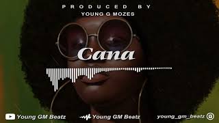 Amapiano Beat Instrumental 2024  Cana