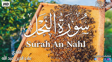Surah An-Nahl سورة النحل كاملة ||  بصوت هادئ وجميل 😴💚||القارئ علاء الدين عبد الله
