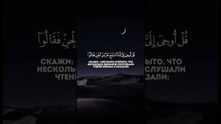 Чтец Махди Аш-Шишани Сура 72 Аль-Джинн Аяты 1-5