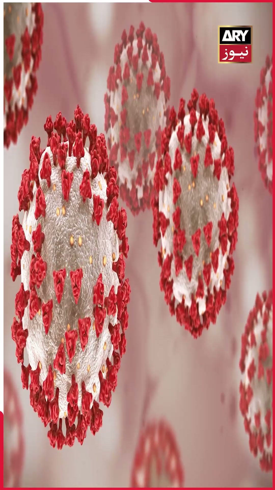 Two cases of HMPV reported in Pakistan #hmpvvirus #hmpvviruscases #hmpvinpakistan #breakingnews