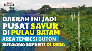 ADA SUASANA DESA DI BATAM • Tembesi Buton Salah Satu Pusat Penghasil Sayuran • Orang Jawa Di Batam