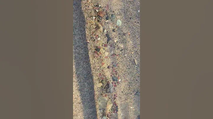 Gold mining in Alberta. Beautiful garnets litter t...