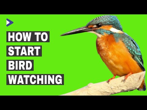 How To Start