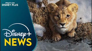 Disney's “Mufasa: The Lion King” Teaser Trailer Released | Disney Plus News