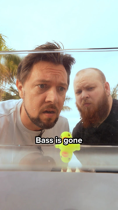 This happened when I combined Hang-Drum & Bass