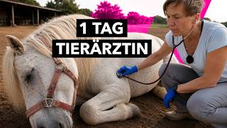 Veterinarian on Duty: Animals in Need in Tenerife