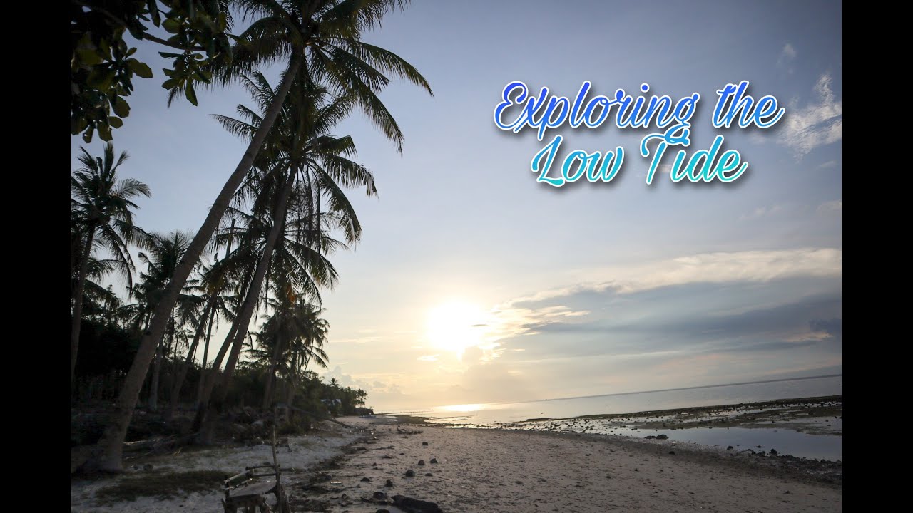 Low Tide Exploration SIQUIJOR BEACH YouTube low-tide-exploration-siquijor-beach-youtube
