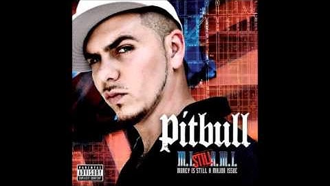 "Shake" (Remix) (Ying Yang Twins featuring Pitbull & Elephant Man)