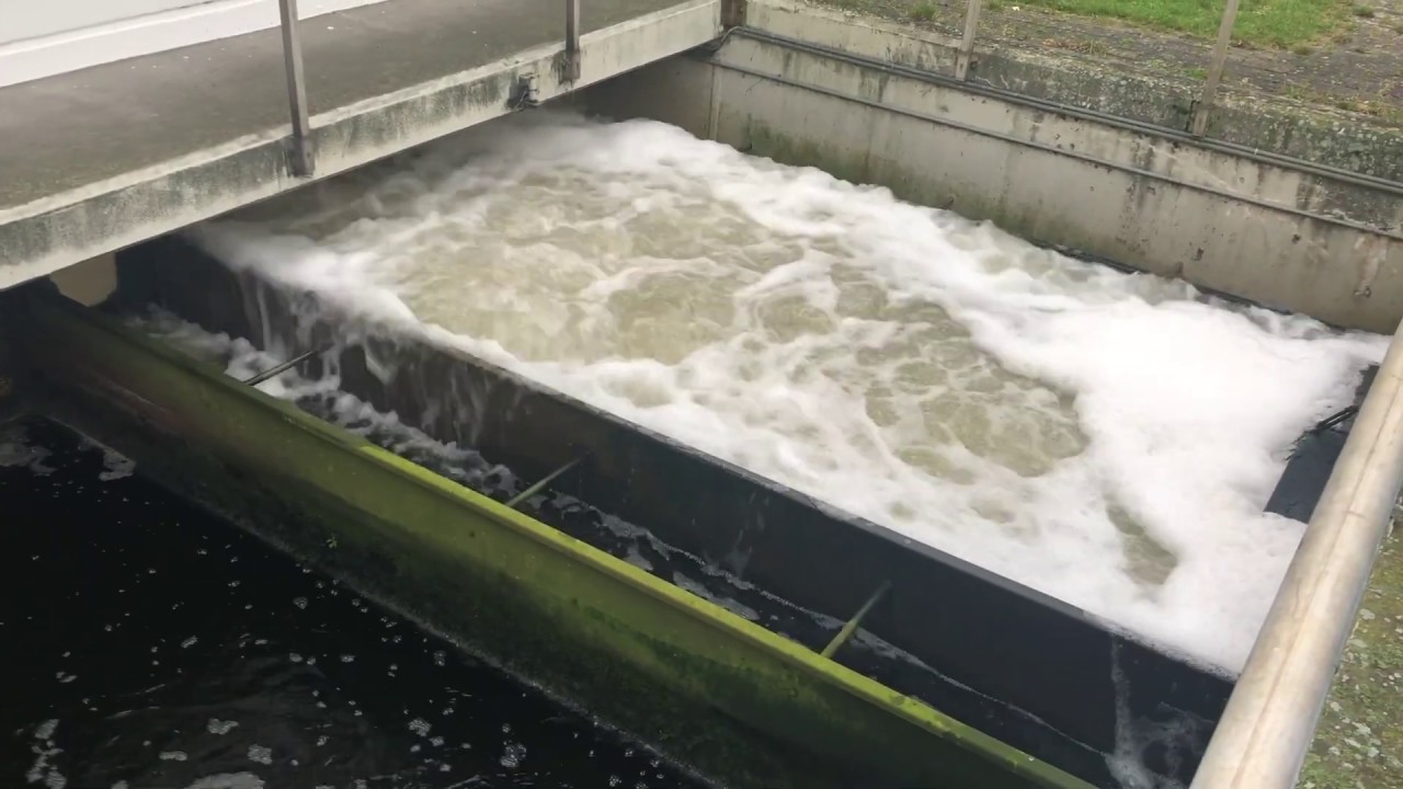 Sand filter backwash YouTube