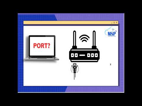 port number คือ  New 2022  MSP: Port là gì? Công dụng của Port