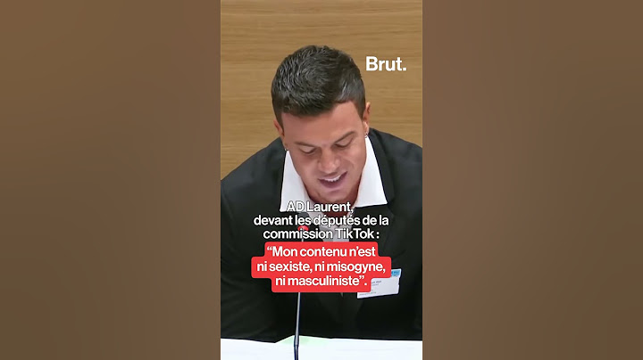 AD Laurent, before the TikTok commission at the National Assembly.