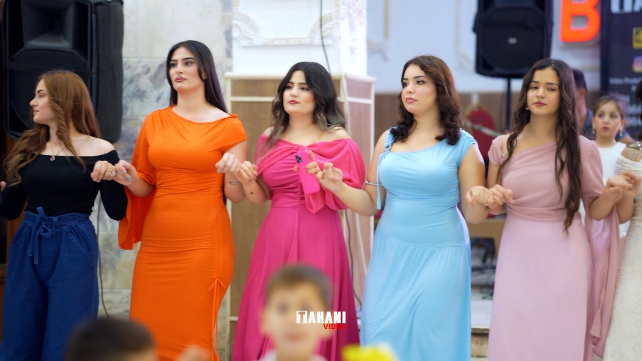 02 DAWATA ARI & KHUSHYA #tahanivideo #شاكر_حلو