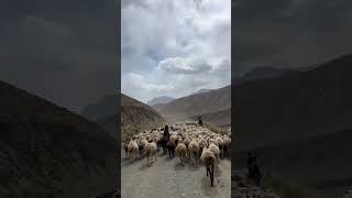 Kyrgyzstan, the road less traveled #shorts