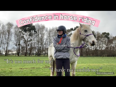 CONFIDENCE IN HORSE