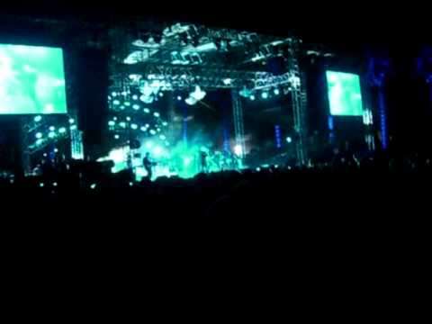 Bring on the Dancing Horses Coachella 2010